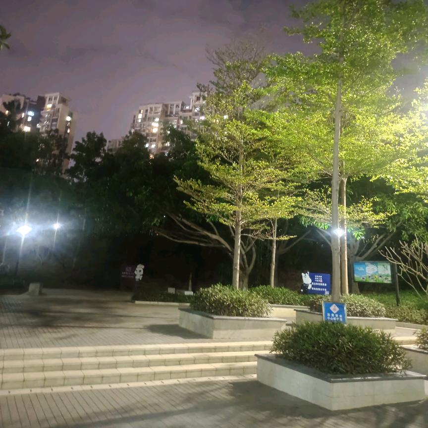 @付懂🌹🌹