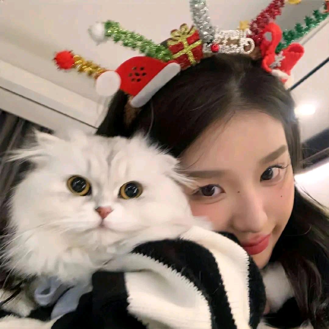 养乐多（想和鹤男多多见面版）