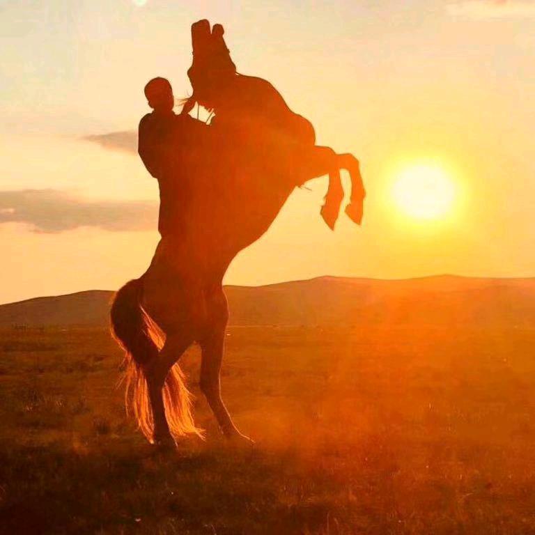 🏇