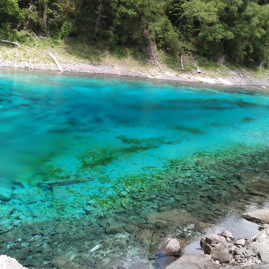 晏家坝8号草莓园