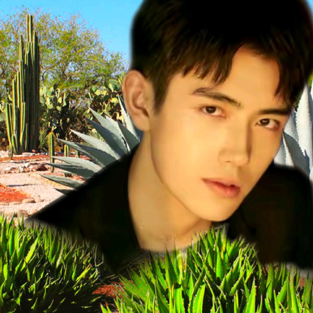 💞真এ᭄情ꫛ᭄难💕忘ღ᭄ꦿ不定时开播