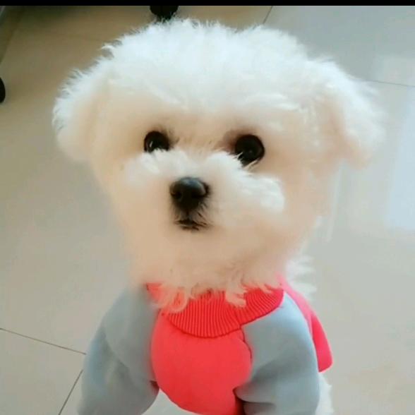 我叫小花