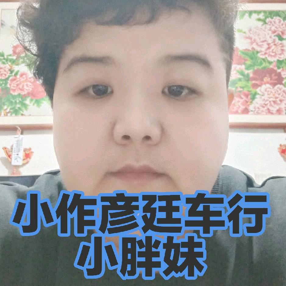 小作小胖妹电动车