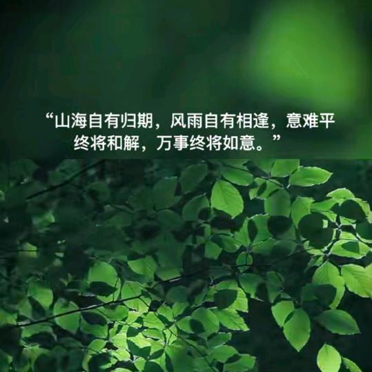 如柿