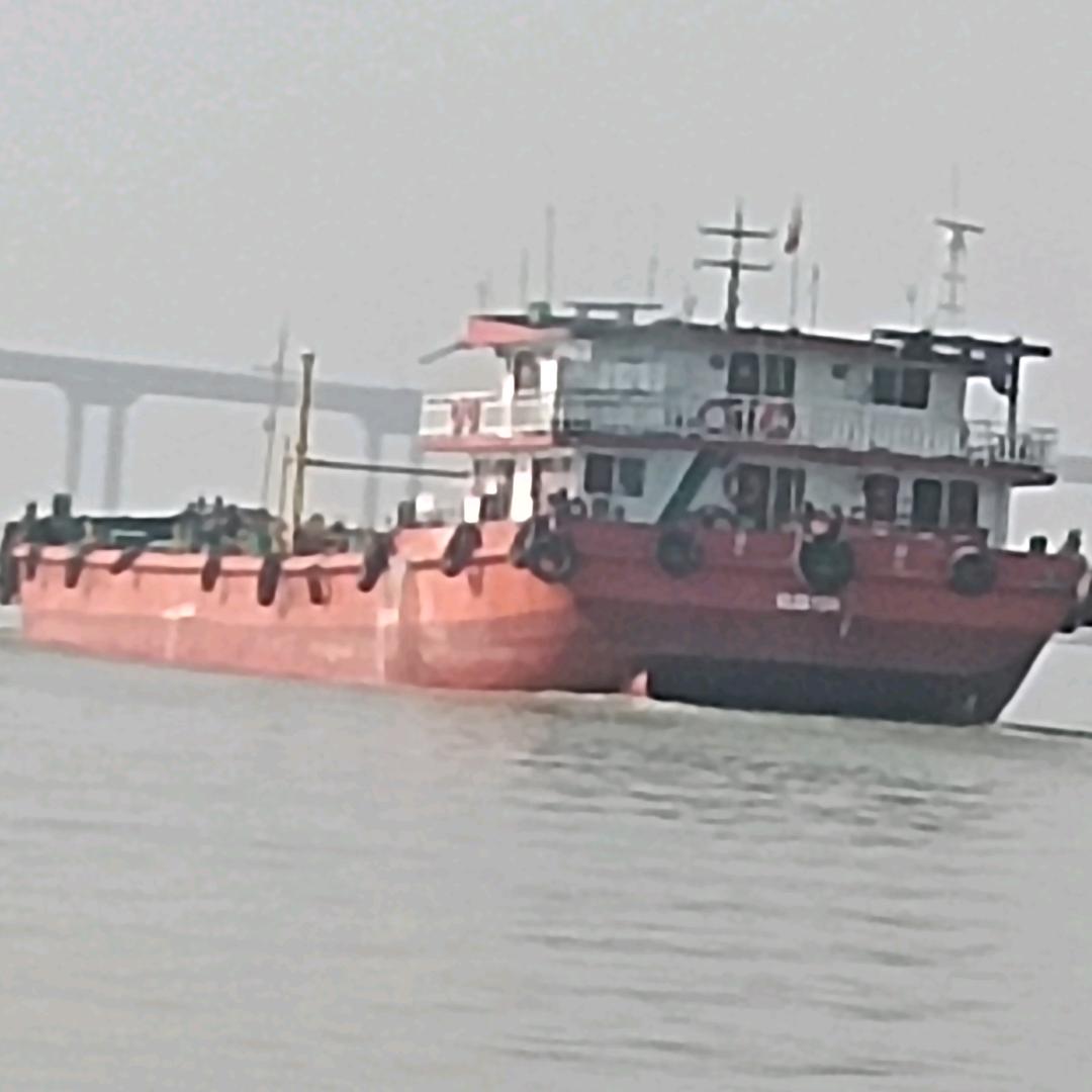 一条小龙