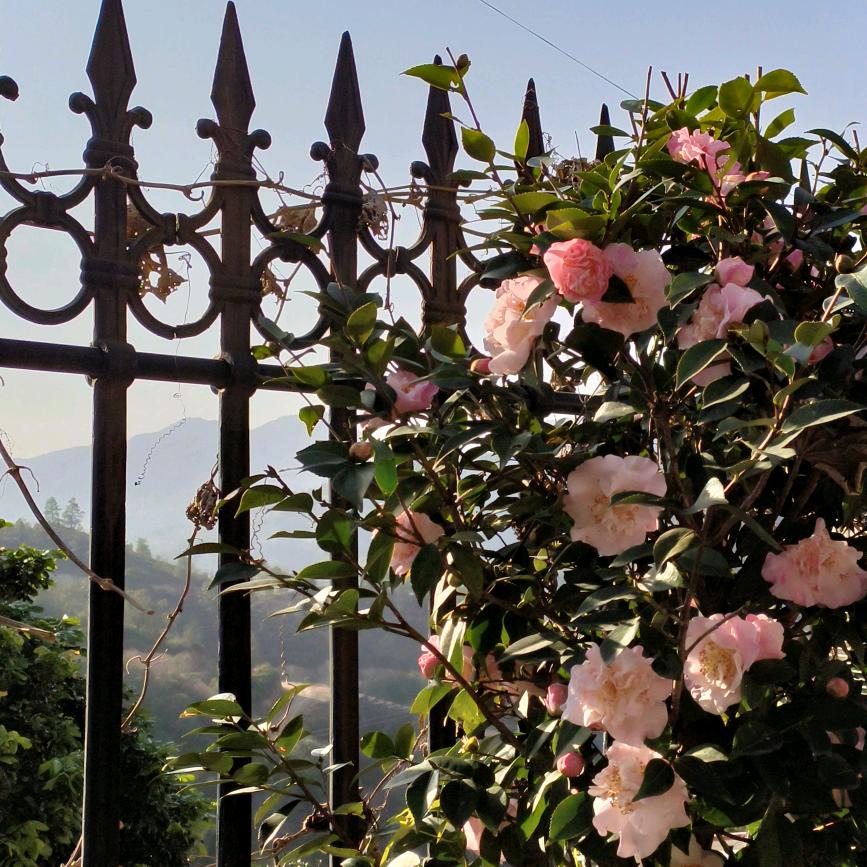 瓜子妹优选好物（谢绝连赞）