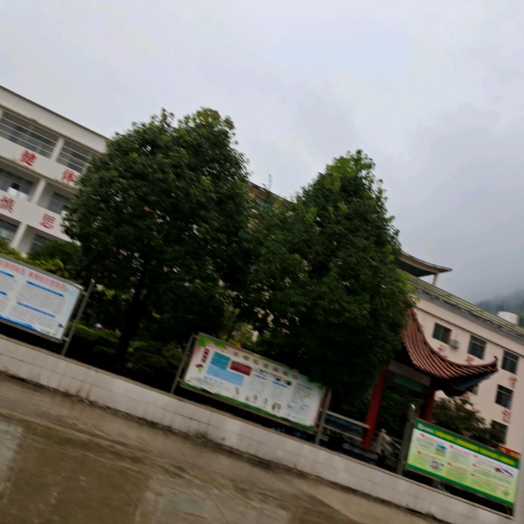 李金玉