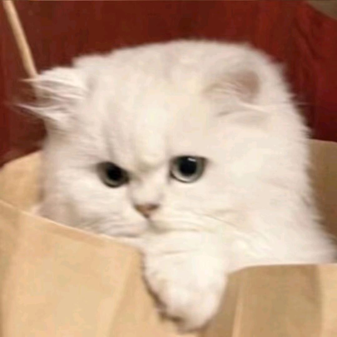 语
