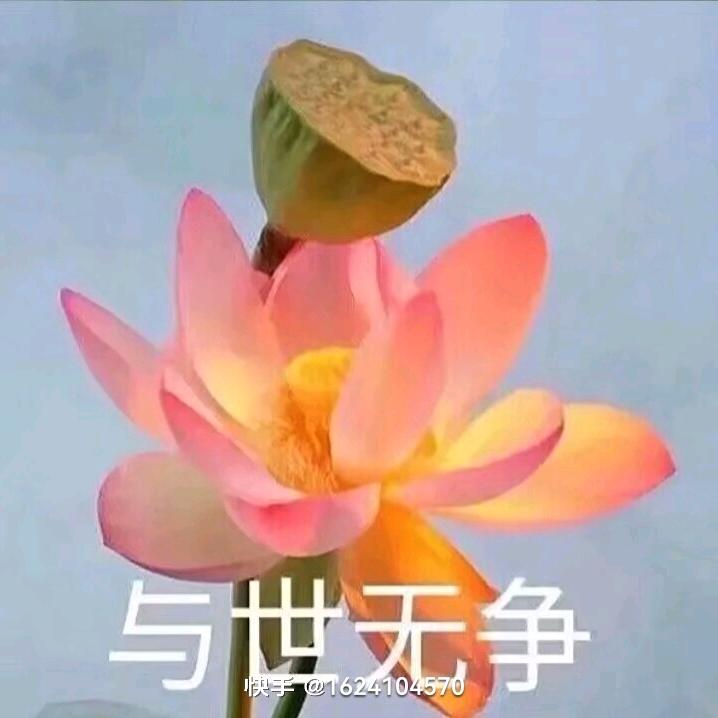 快乐⊙▽⊙