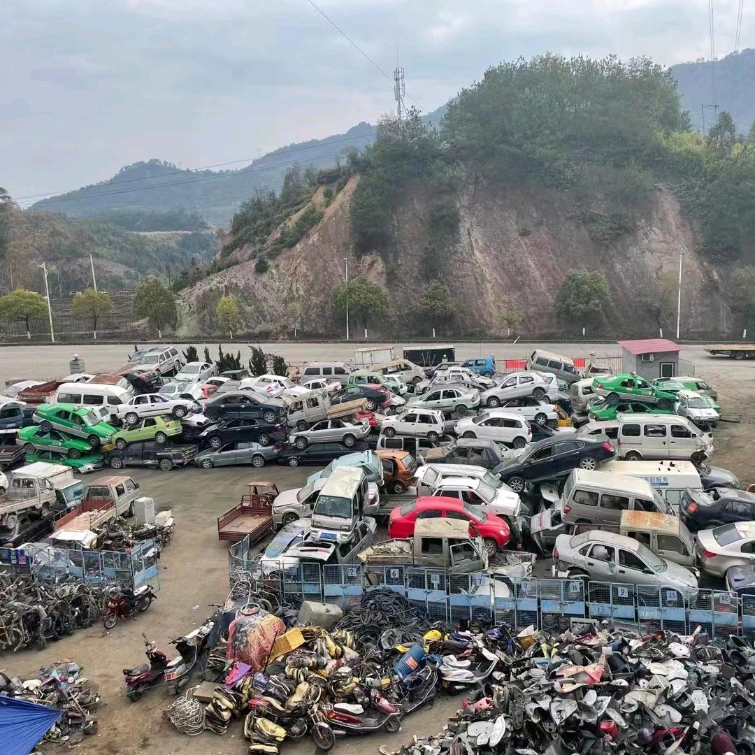 A皮皮