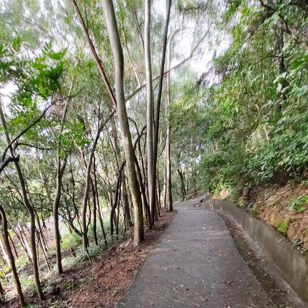 罗忠学