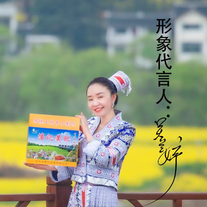 黔宏特产食品