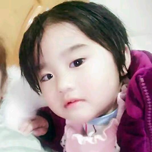 24617753179秋天的枫叶