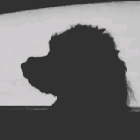 贺宇