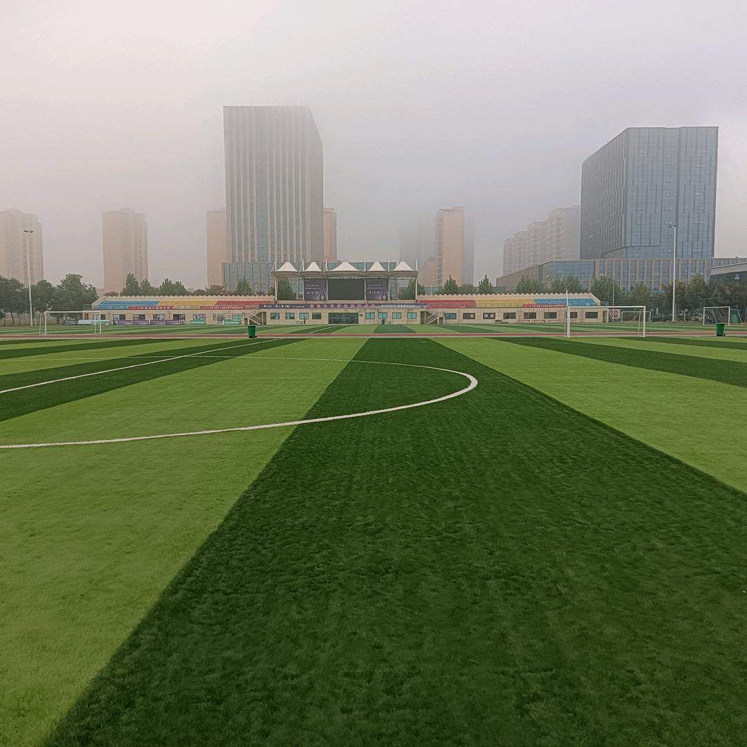 清风飞扬