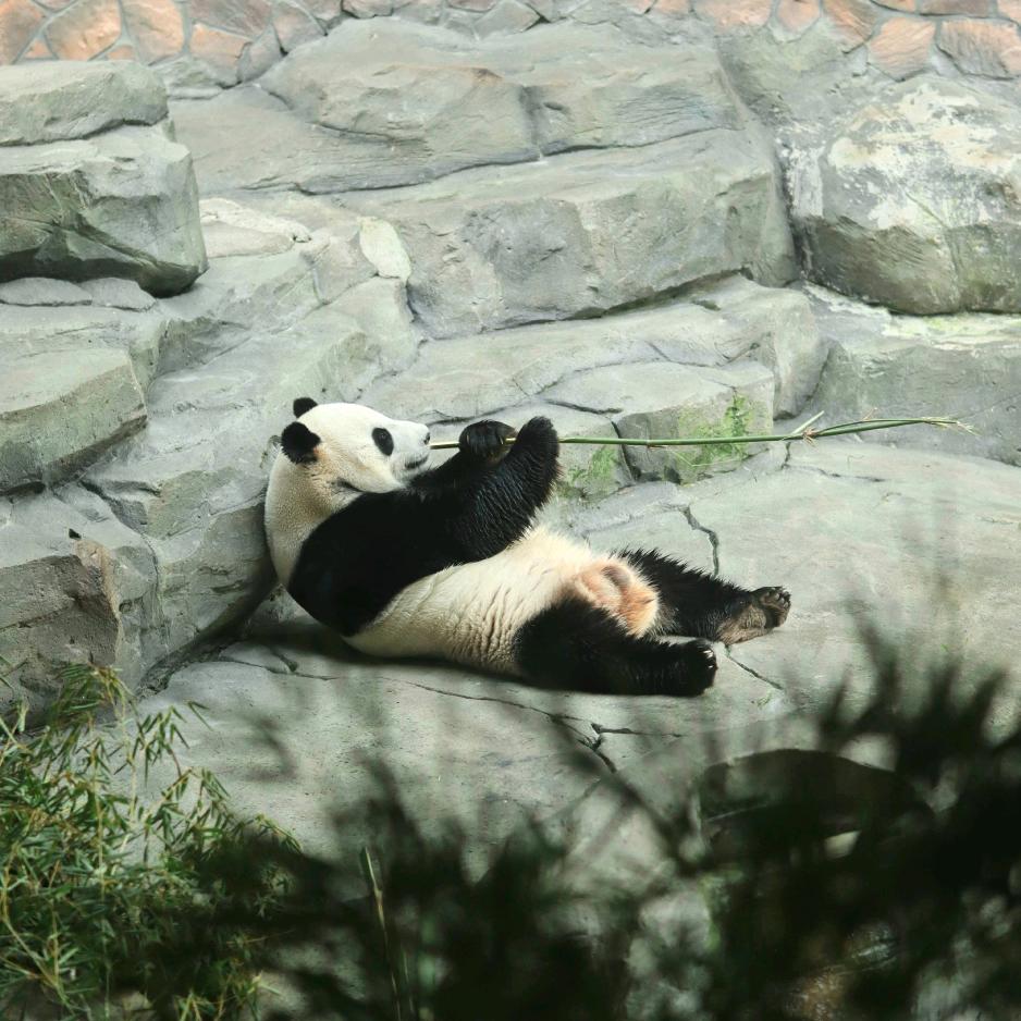 网友.头像