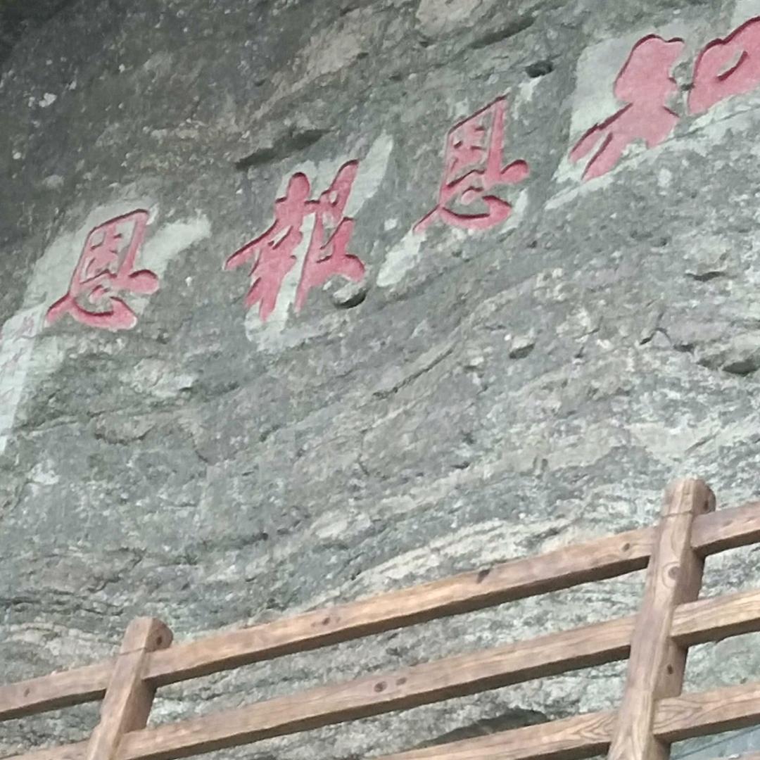柚子花开
