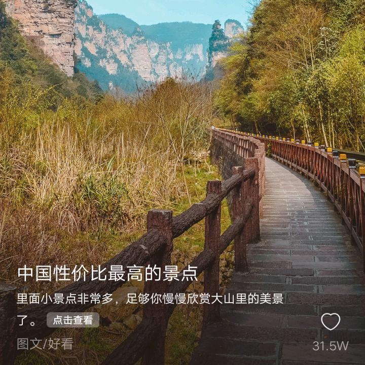 赵子秀