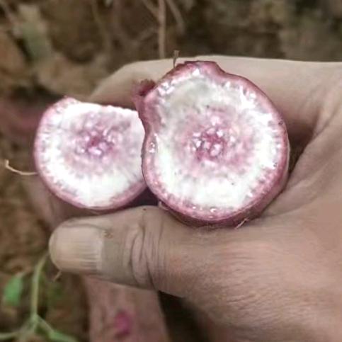 鲜呼鲜啦果蔬旗舰店