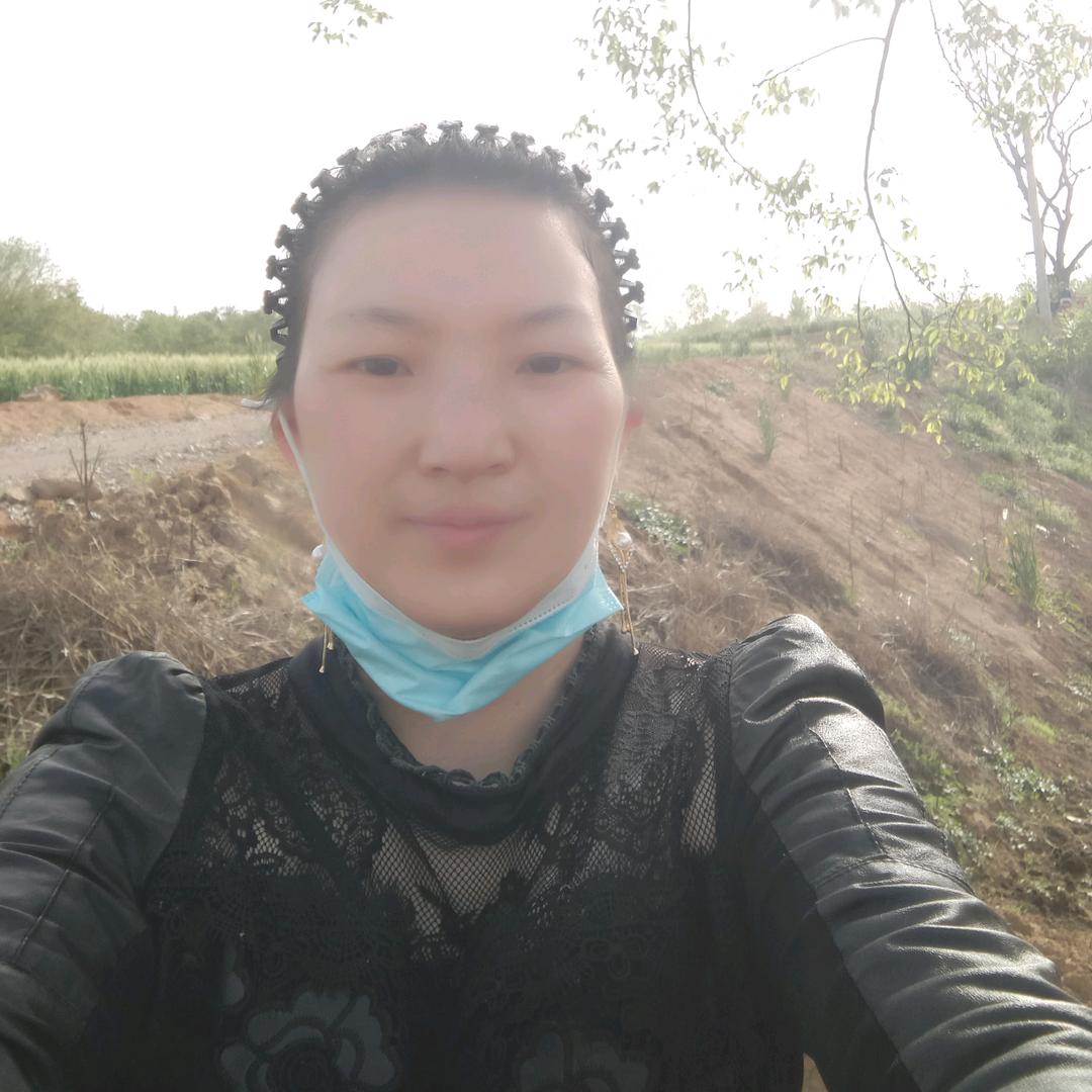 腊梅儿