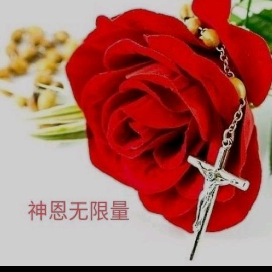 （訾）平安喜乐（请勿连赞）