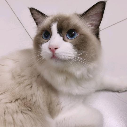 孤岛惊魂