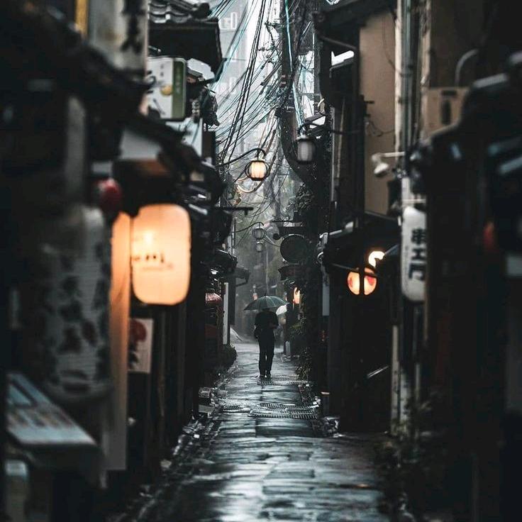 寻找周杰伦，发现杨沛宜