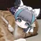 流泪特猫头
