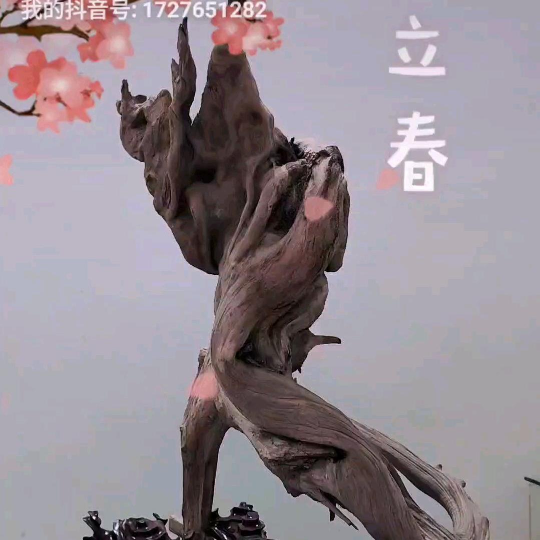 雅博禅茶