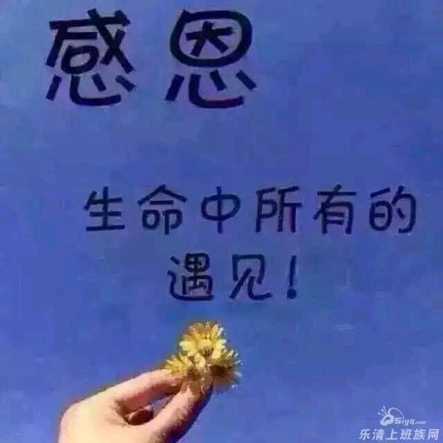 锣鼓一响💰万两