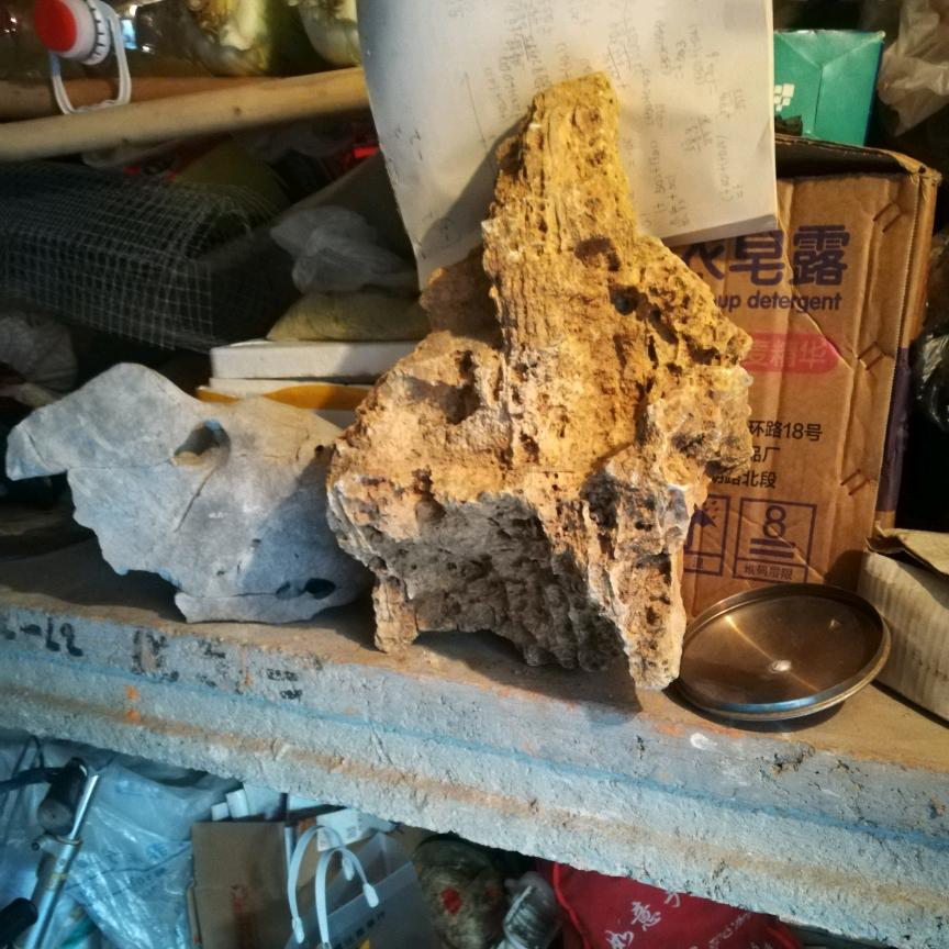 我是肥城的