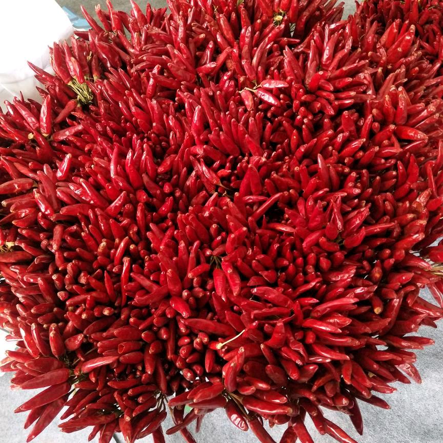 刘敏农资