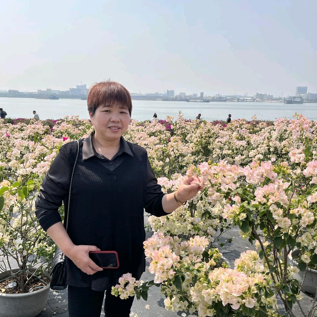 我是田姐