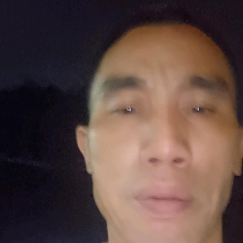 踏雪寻梅