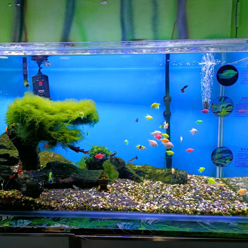 橙意满满de等待