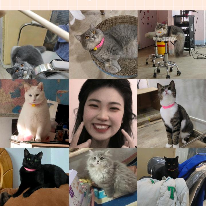 Syt明天见美发工作室