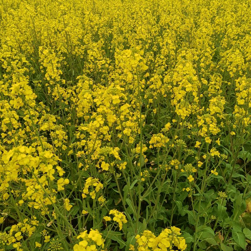 快乐过好每一天