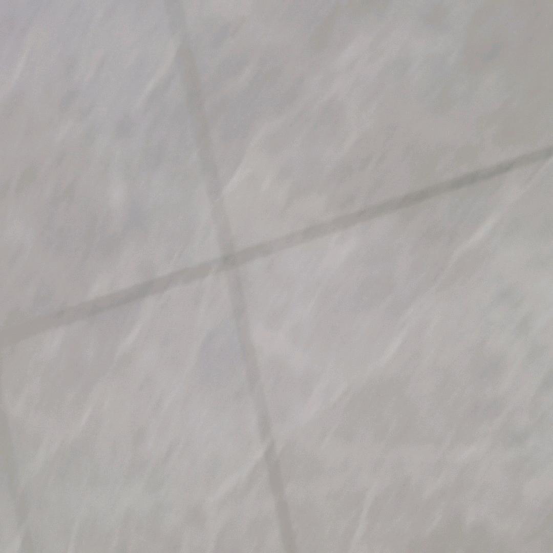 本人账号停用