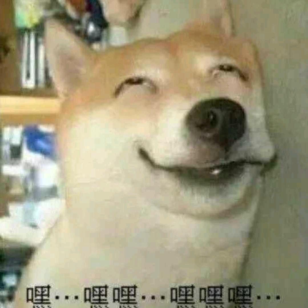 星临头像