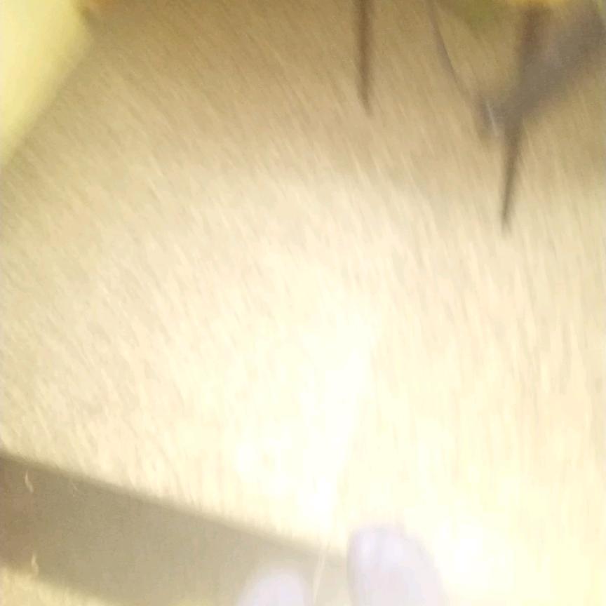 任师傅专业突击队