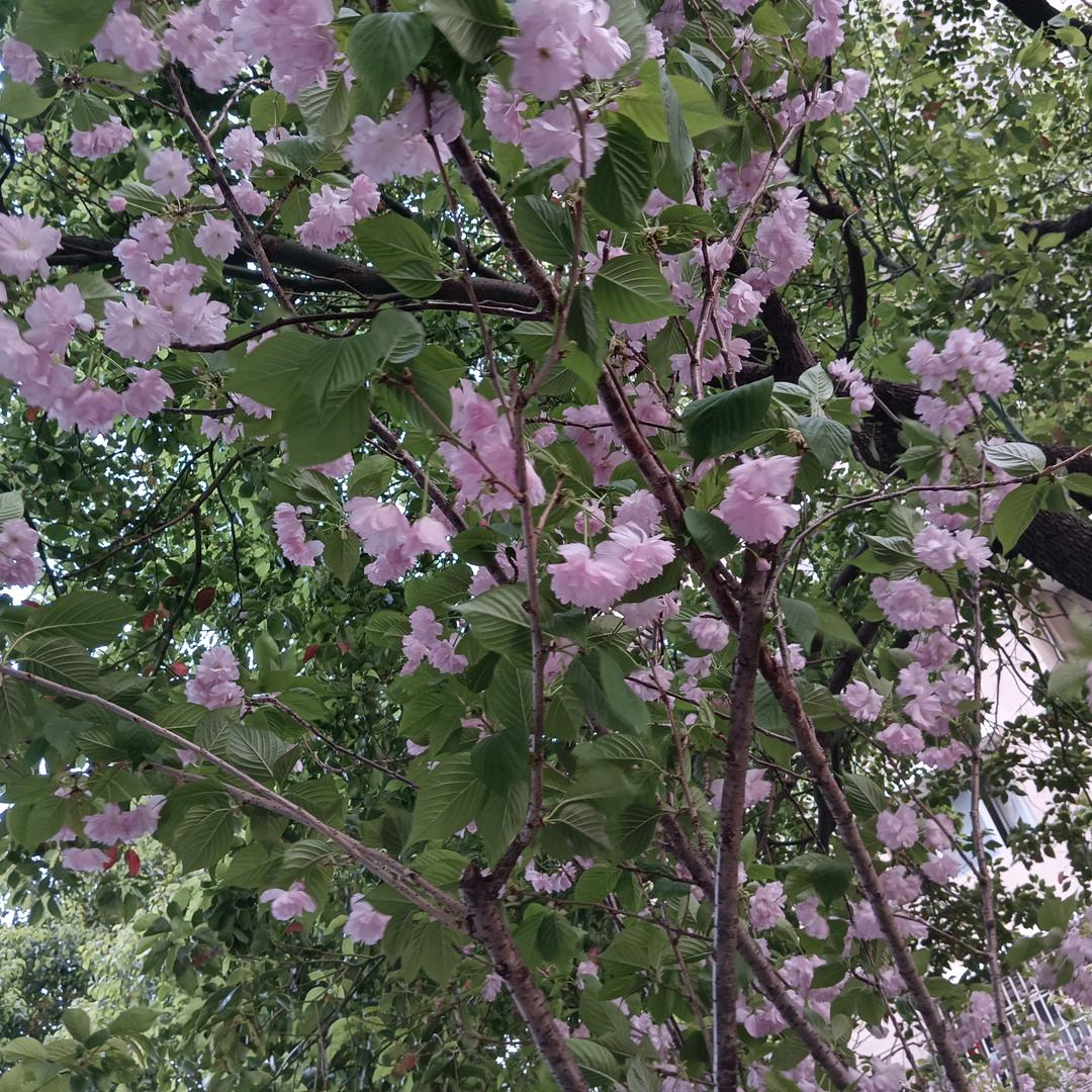 艾特音乐好物分享