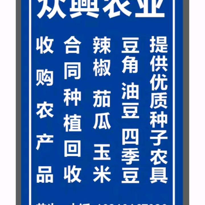 收购辣椒，众舆农业