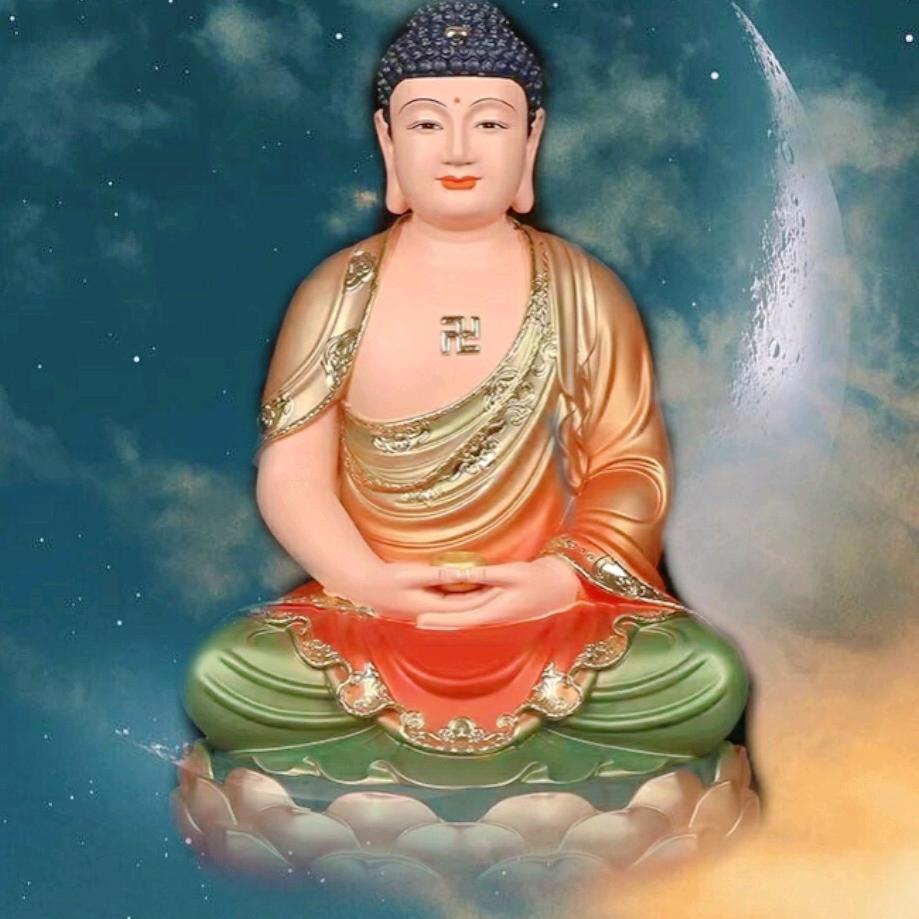 悟佛学