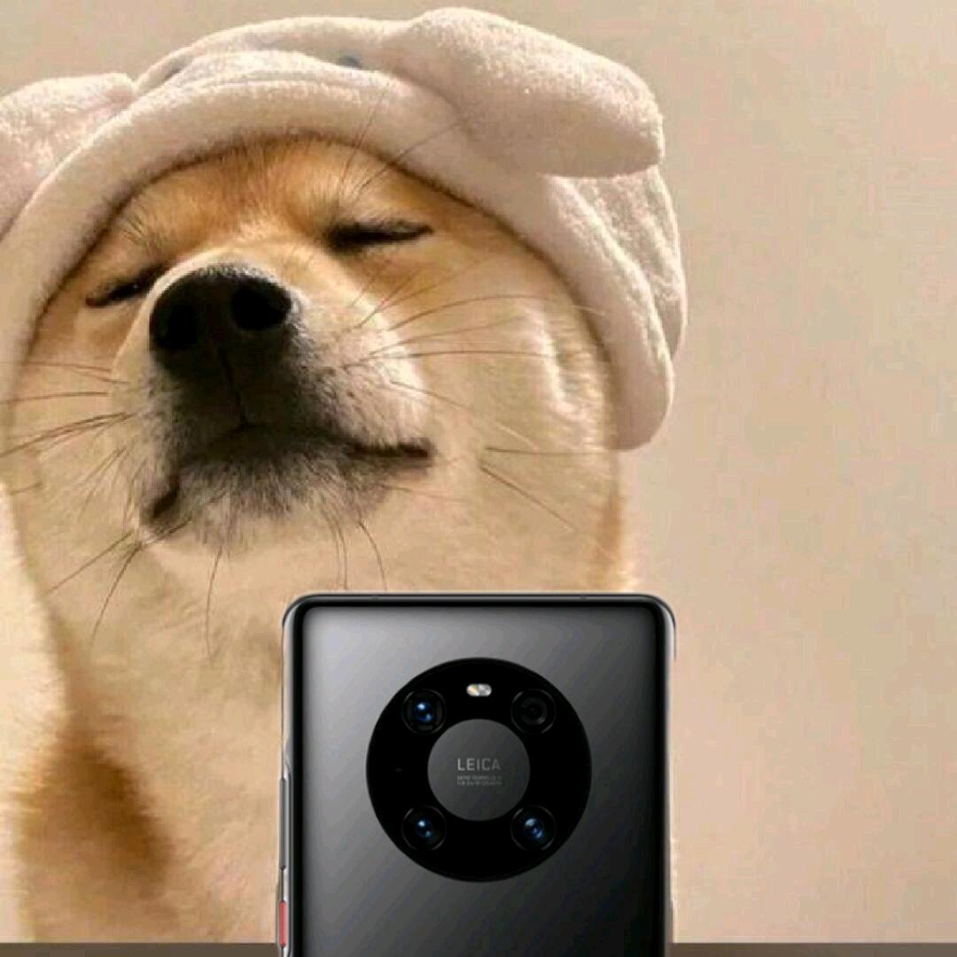 我在for循环里等待你的return