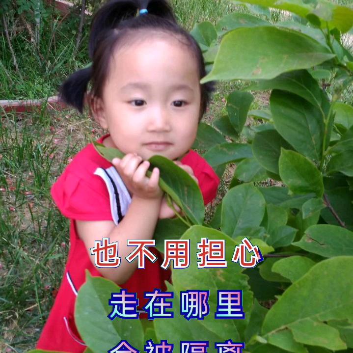 彩姐，