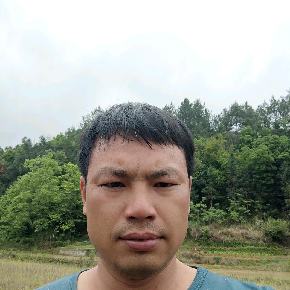 山总