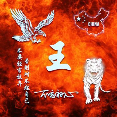 一起来看电影