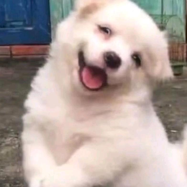 车载商务
