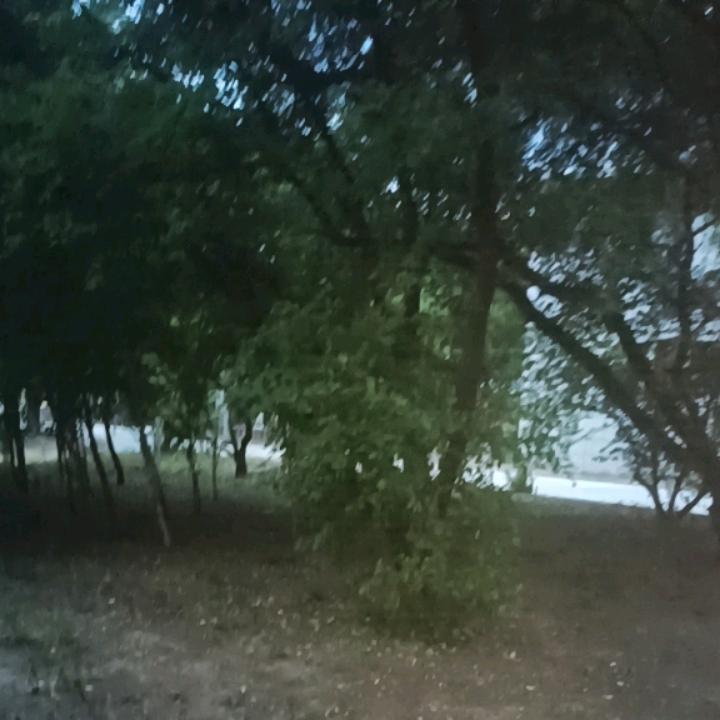 子浩