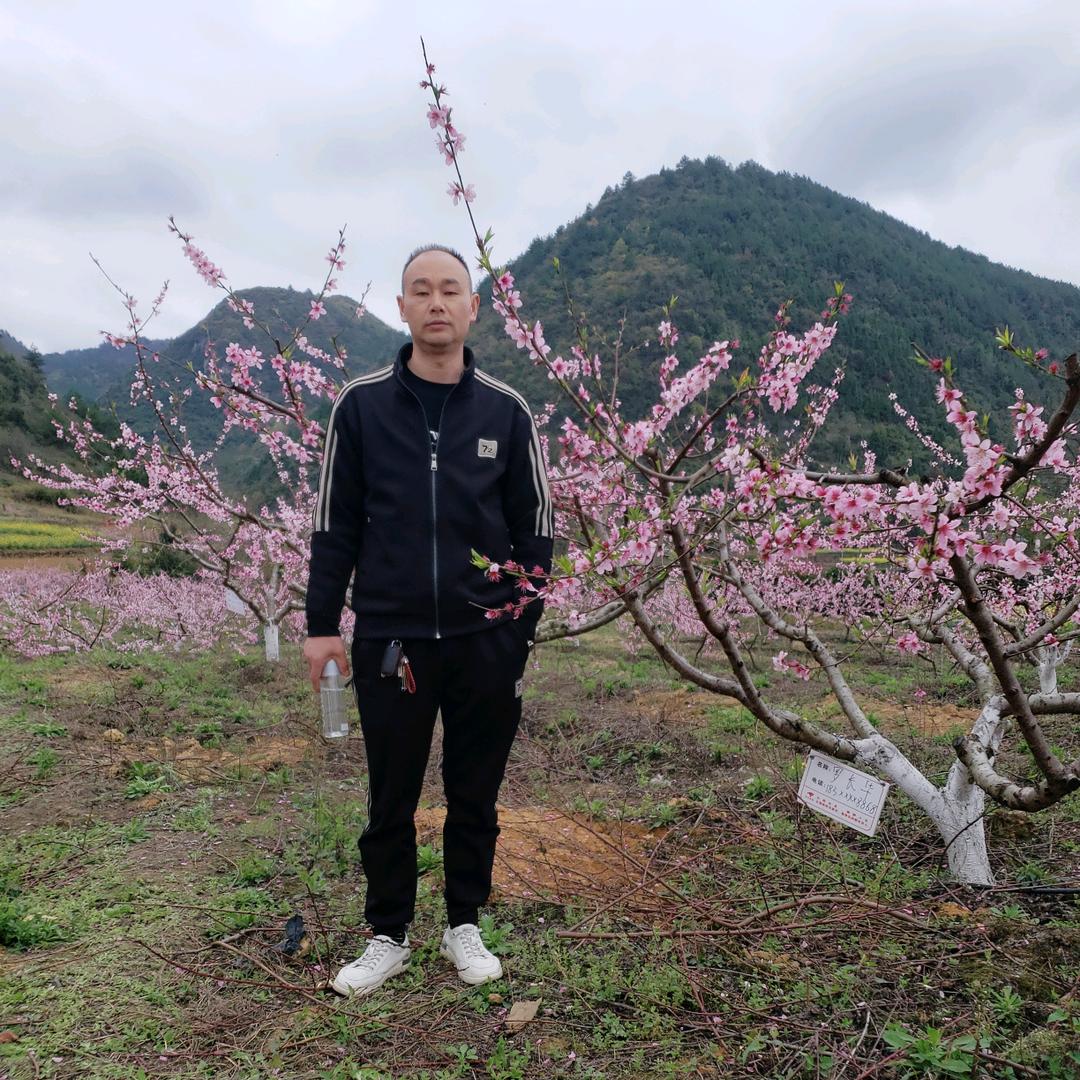 虾子东哥